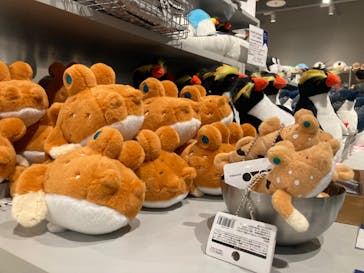 AOAO SAPPOROに投稿された画像（2024/5/19）