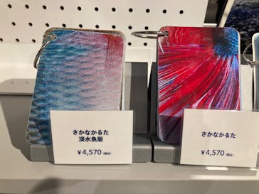 AOAO SAPPOROに投稿された画像（2024/5/19）