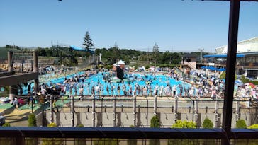 東京サマーランド(有料席)に投稿された画像（2024/5/19）