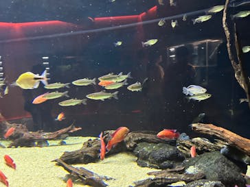 カワスイ 川崎⽔族館に投稿された画像（2024/5/20）