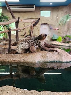 那須どうぶつ王国に投稿された画像（2024/5/20）