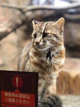 那須どうぶつ王国に投稿された画像（2024/5/20）