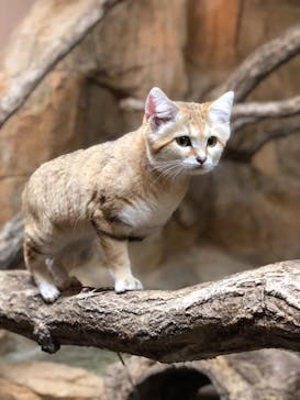 那須どうぶつ王国に投稿された画像（2024/5/20）