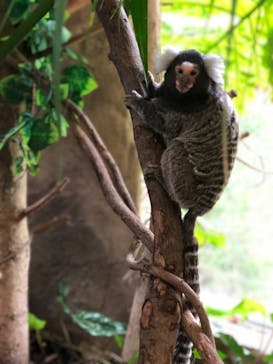 那須どうぶつ王国に投稿された画像（2024/5/20）