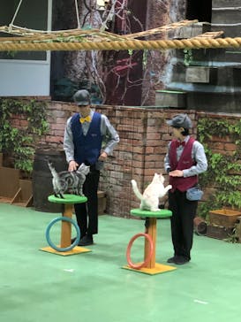 那須どうぶつ王国に投稿された画像（2024/5/20）