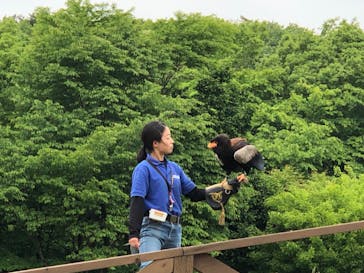那須どうぶつ王国に投稿された画像（2024/5/20）