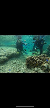 武藤潜水に投稿された画像（2024/5/20）