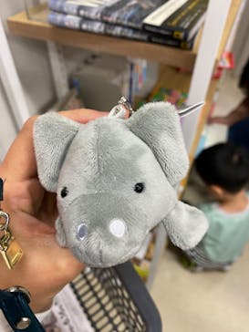 特別展「大哺乳類展３－わけてつなげて大行進」に投稿された画像（2024/5/20）