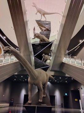 福井県立恐竜博物館に投稿された画像（2024/5/20）