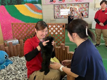 阿蘇カドリー・ドミニオンに投稿された画像（2024/5/20）