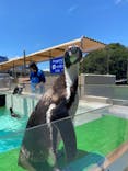 下田海中水族館に投稿された画像（2024/5/20）