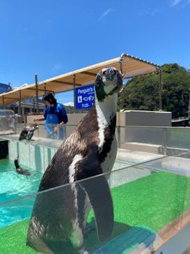 下田海中水族館に投稿された画像（2024/5/20）