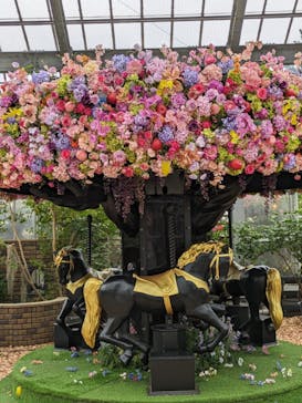 京成バラ園に投稿された画像（2024/5/20）