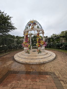 京成バラ園に投稿された画像（2024/5/20）