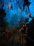 CAVE OKINAWAに投稿された画像（2024/5/20）