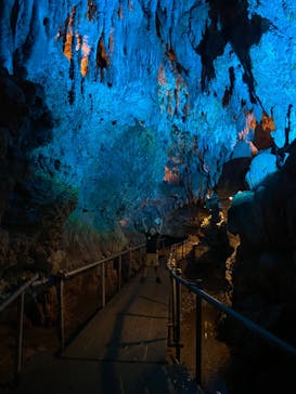 CAVE OKINAWAに投稿された画像（2024/5/20）