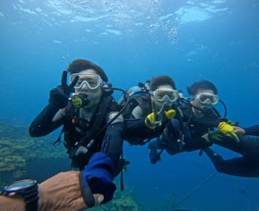 武藤潜水に投稿された画像（2024/5/20）