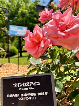 とっとり花回廊に投稿された画像（2024/5/20）