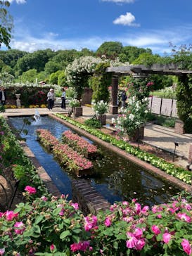 ぎふワールド・ローズガーデンに投稿された画像（2024/5/20）