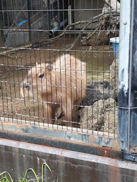 アロハガーデンたてやまに投稿された画像（2024/5/20）