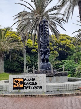 アロハガーデンたてやまに投稿された画像（2024/5/20）