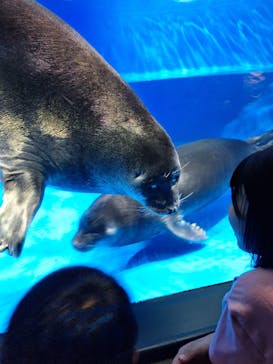 サンシャイン水族館に投稿された画像（2024/5/20）