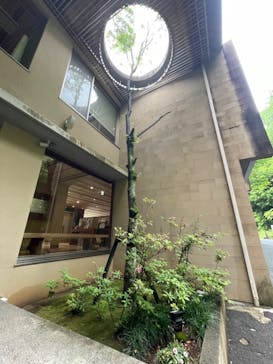 成田の命泉　大和の湯に投稿された画像（2024/5/20）