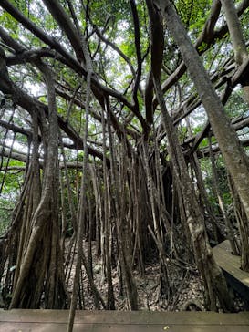 アスムイハイクスに投稿された画像（2024/5/20）