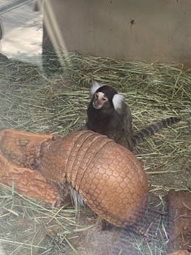 AQUARIUM × ART　atoa×神戸どうぶつ王国に投稿された画像（2024/5/20）