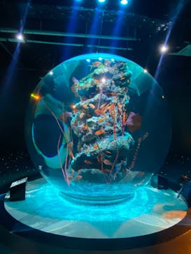 AQUARIUM × ART　atoa×神戸どうぶつ王国に投稿された画像（2024/5/20）