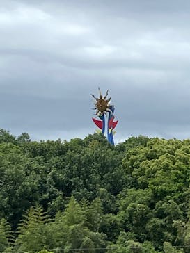 日本モンキーパークに投稿された画像（2024/5/20）