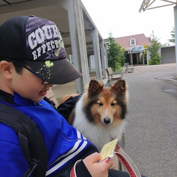 那須どうぶつ王国に投稿された画像（2024/5/20）