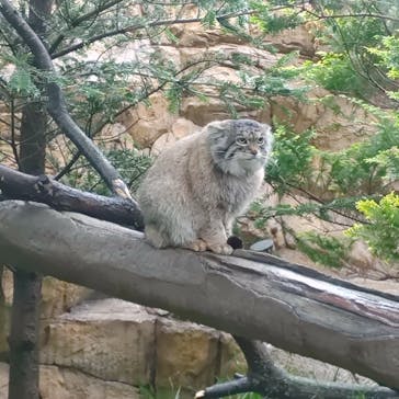 那須どうぶつ王国に投稿された画像（2024/5/20）