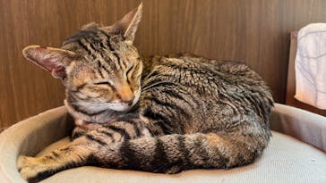 つくばわんわんランドに投稿された画像（2024/5/20）