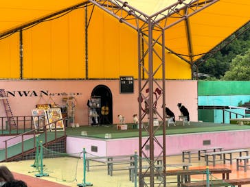 つくばわんわんランドに投稿された画像（2024/5/20）