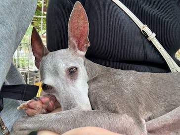 つくばわんわんランドに投稿された画像（2024/5/20）