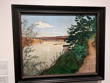 北欧の神秘（ＳＯＭＰＯ美術館）に投稿された画像（2024/5/20）