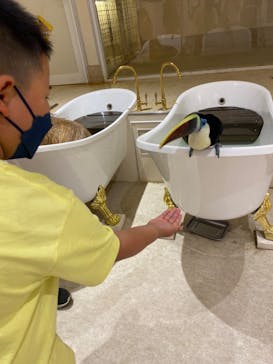 アニタッチららぽーと名古屋みなとアクルスに投稿された画像（2024/5/20）