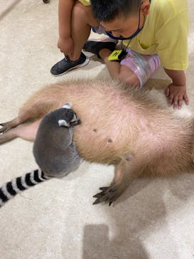 アニタッチららぽーと名古屋みなとアクルスに投稿された画像（2024/5/20）