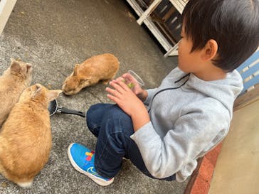 おさるランド＆アニタウン　日光さる軍団劇場に投稿された画像（2024/5/20）