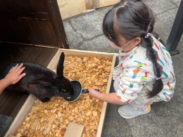 おさるランド＆アニタウン　日光さる軍団劇場に投稿された画像（2024/5/20）