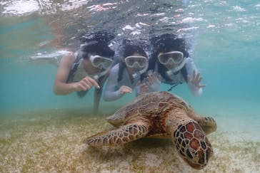 宮古島マリン SUGAR3（シュガースリー）に投稿された画像（2024/5/20）