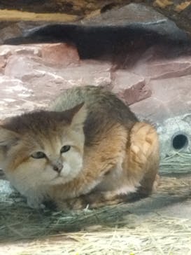 那須どうぶつ王国に投稿された画像（2024/5/20）