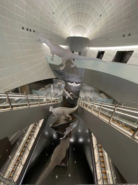 福井県立恐竜博物館に投稿された画像（2024/5/20）