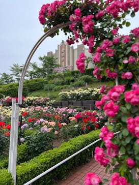 西武園ゆうえんちに投稿された画像（2024/5/20）