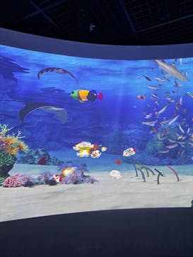 鴨川シーワールドに投稿された画像（2024/5/20）