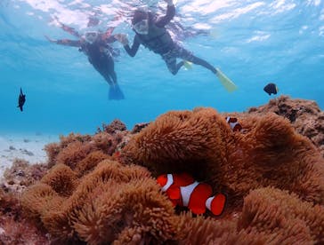 CHAMP TOUR　宮古島に投稿された画像（2024/5/20）