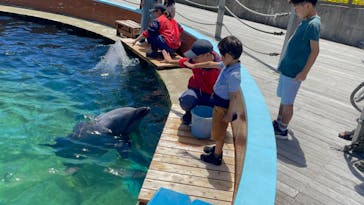 南知多ビーチランド＆南知多おもちゃ王国に投稿された画像（2024/5/20）