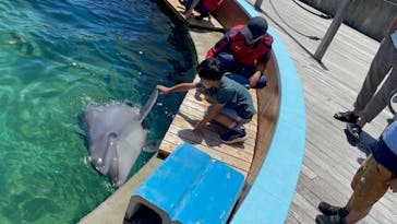 南知多ビーチランド＆南知多おもちゃ王国に投稿された画像（2024/5/20）