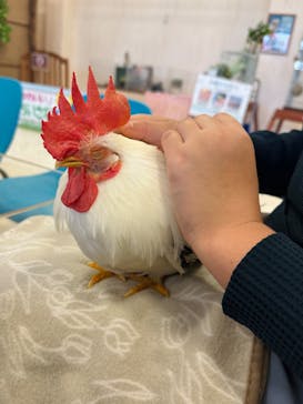 Moff animal world BIGHOPガーデンモール印西店に投稿された画像（2024/5/20）